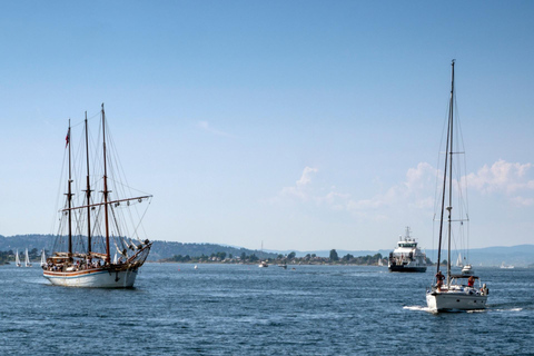 Oslo Old Town Walking Tour and Fjord Cruise Tickets