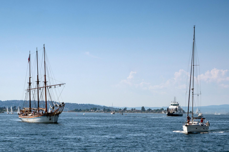 Oslo Old Town Walking Tour and Fjord Cruise Tickets