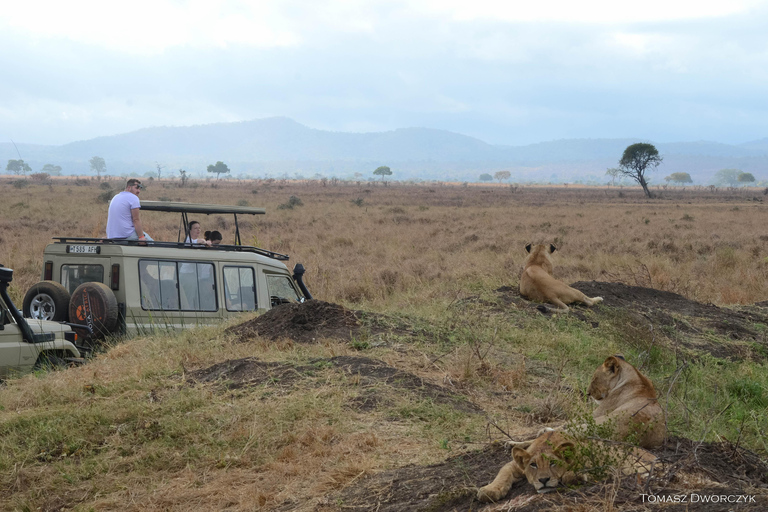From Zanzibar: day Safari to Mikumi National Park