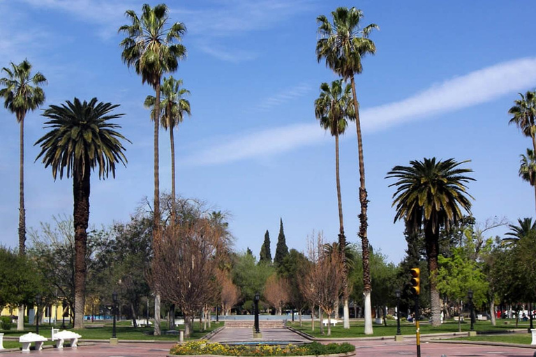 Mendoza: City Tour & Scenic Surroundings