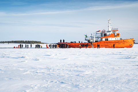 Icebreaker Cruise & Ice Floating Experience Own Transport