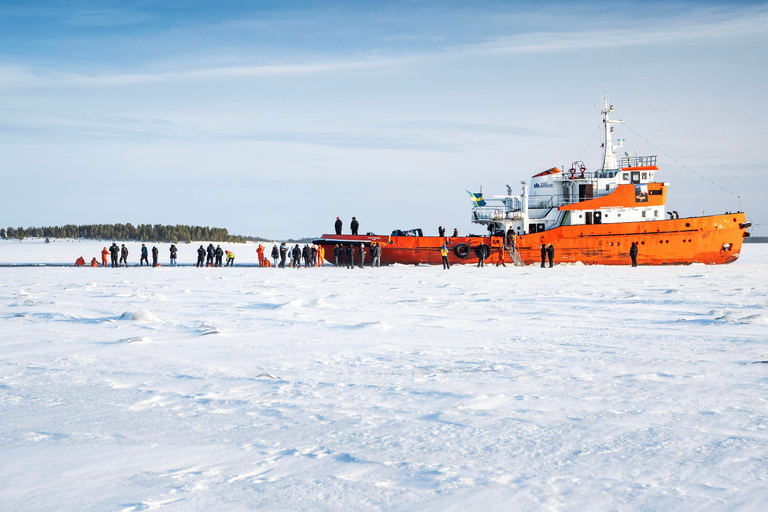 Icebreaker Cruise & Ice Floating Experience Own Transport