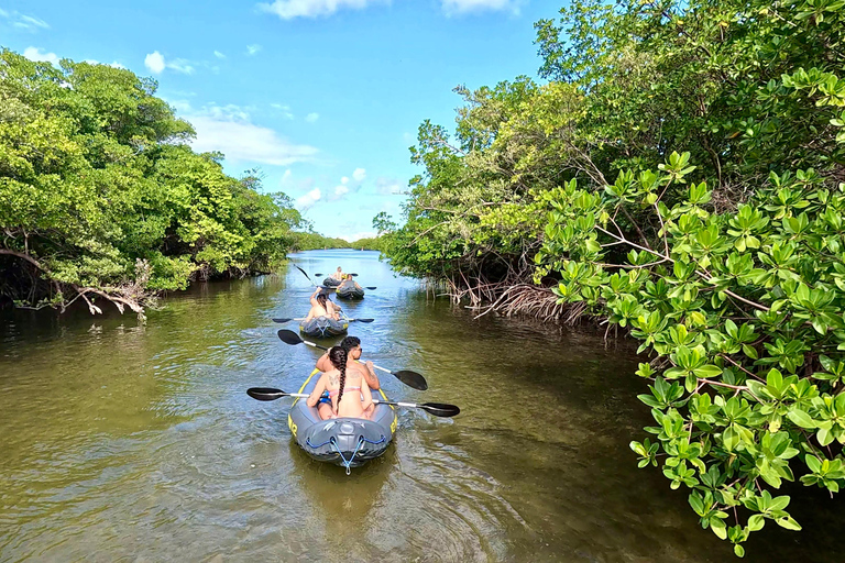 Ft Lauderdale: Combo Deal Snorkel Reefs, Kayak/SUP Mangroves