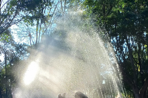 Coyoacan, Histoire et Vie d'un Quartier MagiqueCoyoacan, histoire et vie d'un quartier enchanteur