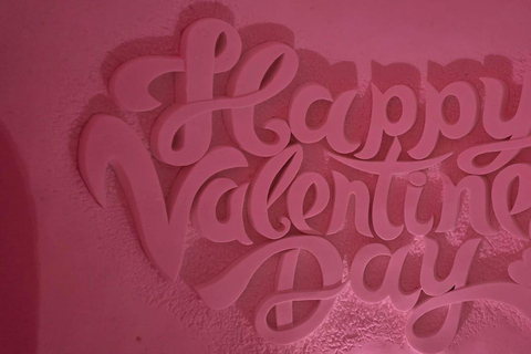 Levi: Private Snow Village tour. Northern lights possibility