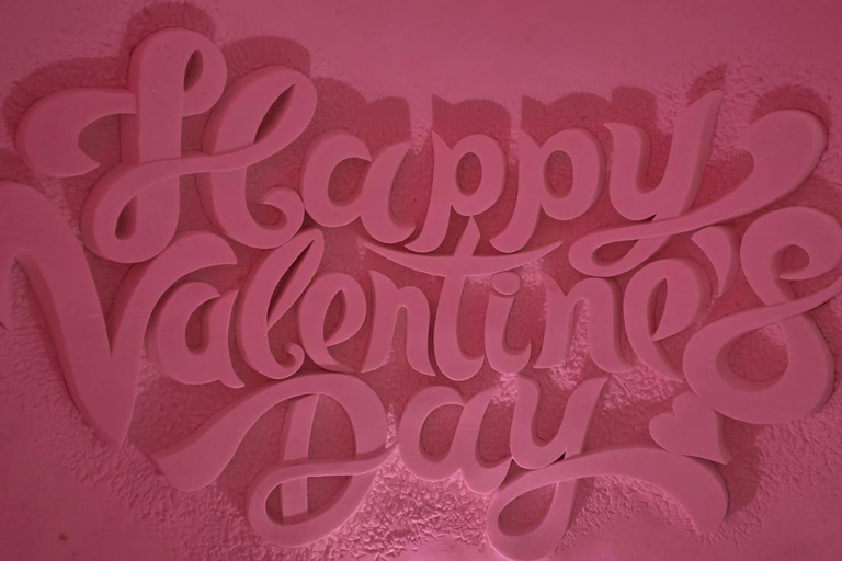 Levi: Private Snow Village tour. Northern lights possibility