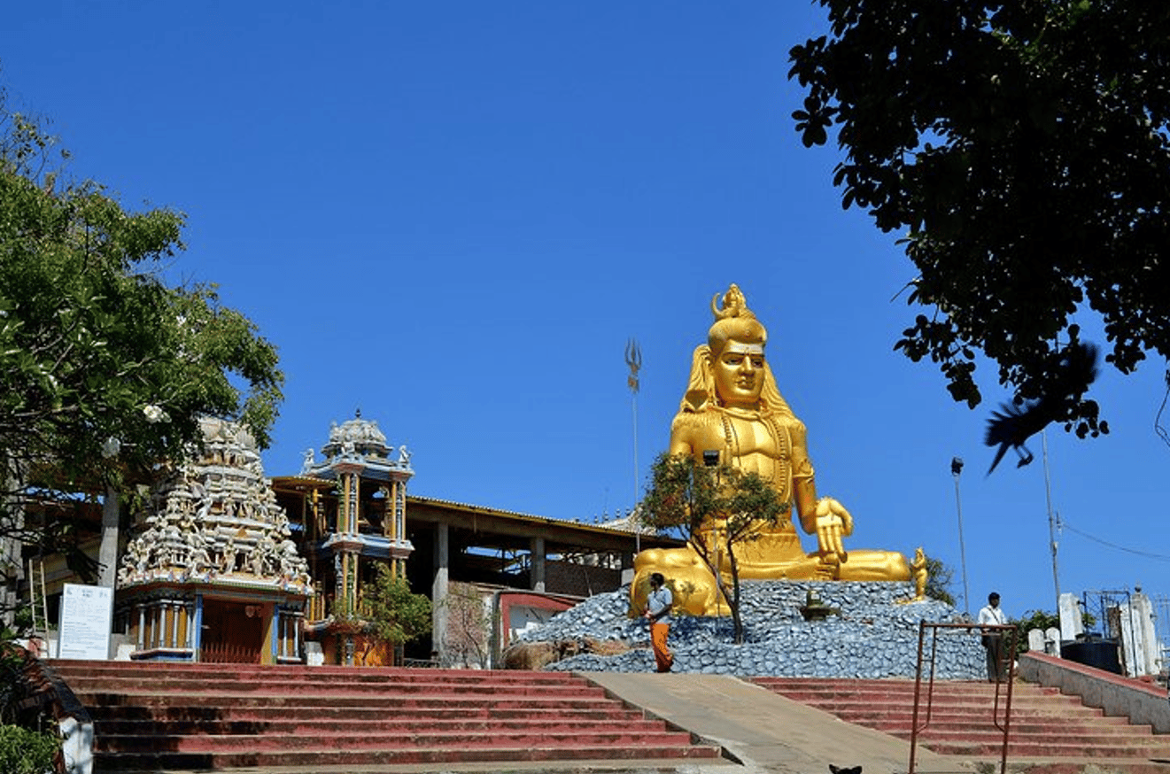 All inclusive Tagestour nach Trincomalee von Sigiriya aus