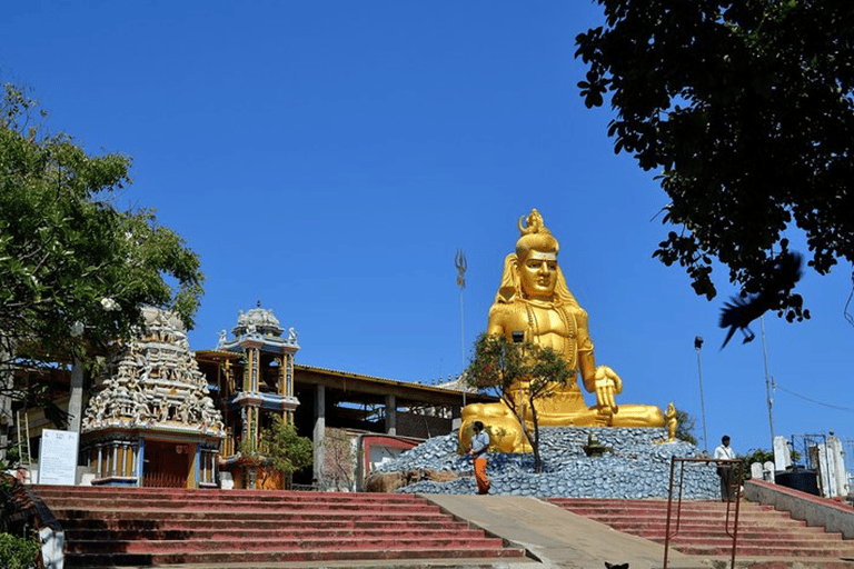 Sri Lanka : Circuit de 8 jours avec prise en charge et retour à l&#039;aéroport