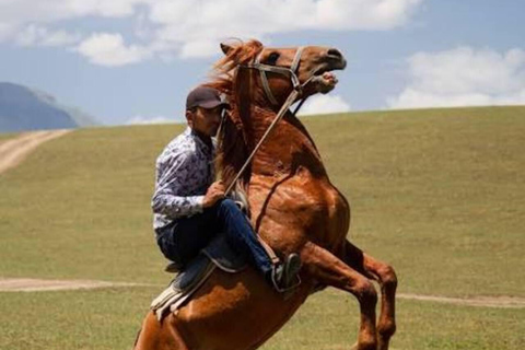 From Baku: Absheron Peninsula Horseback Riding Tour