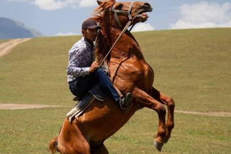 From Baku: Absheron Peninsula Horseback Riding Tour