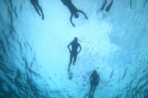 Gili T : Viagem de snorkeling para pequenos grupos