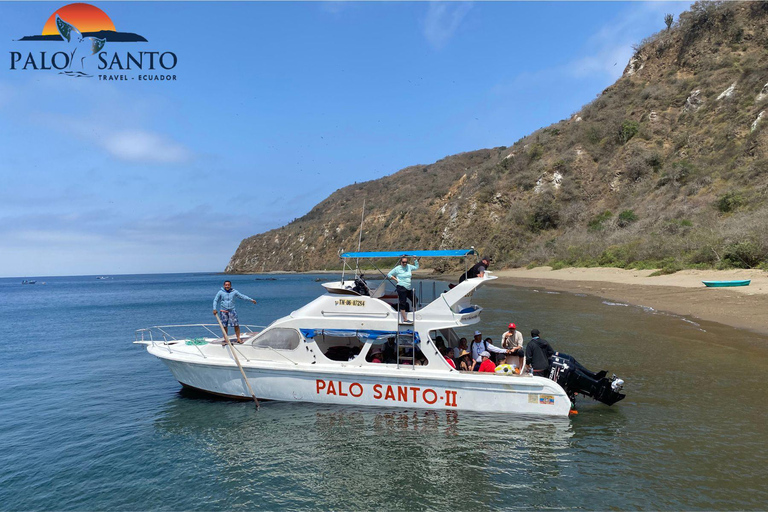 Puerto Lopez: Isla de la Plata: The Magic of the Mini Galapagos Waiting for You