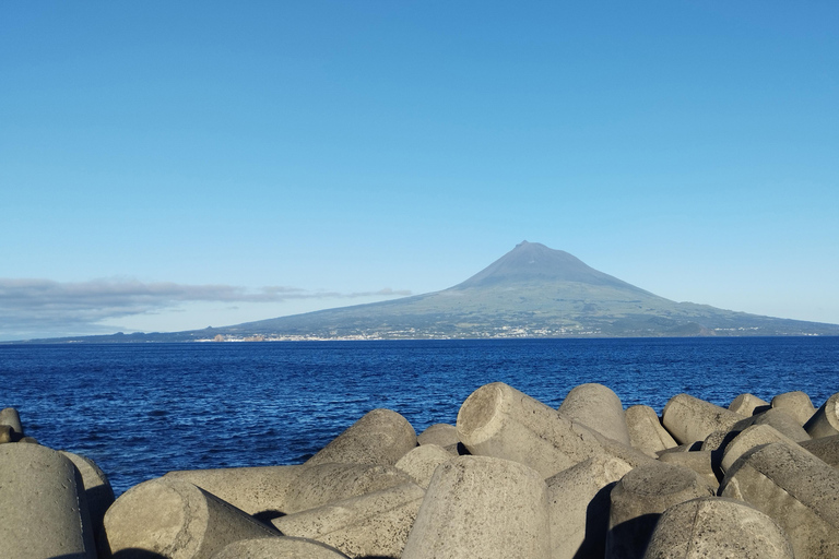 Pico Grand Tour: Volcanoes, UNESCO Vineyards & Local Culture