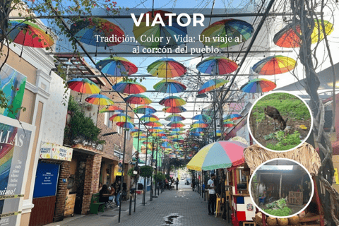 Puerto Plata City Tour: Historic Center & Countryside Ride