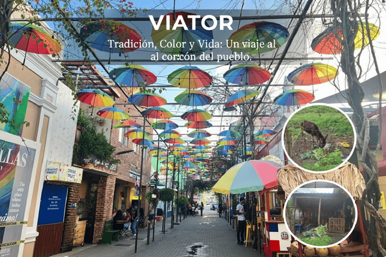 Puerto Plata City Tour: Historic Center & Countryside Ride