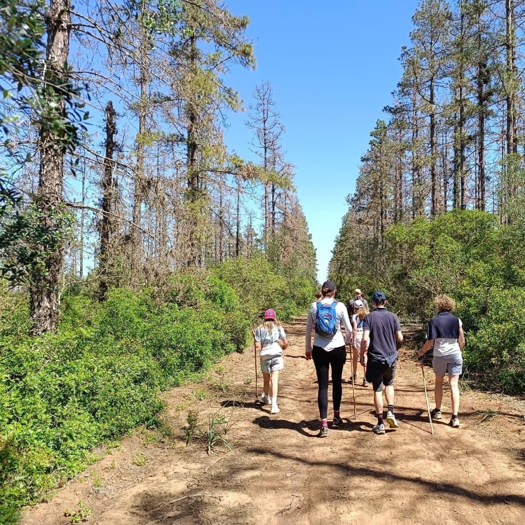 Randonnée à Ain Dakhla, Benslimane : montagnes, saveurs et folklore - trekking