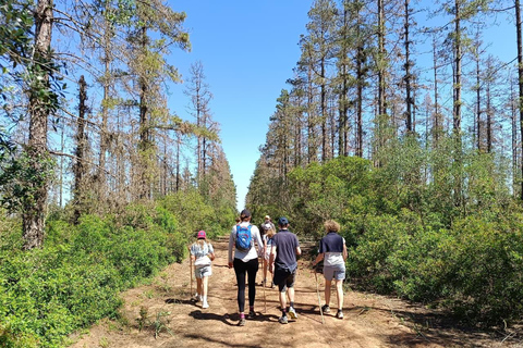 Hiking Ain Dakhla Benslimane: Mountains, Flavors & Folklore