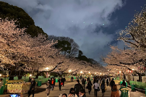Tokyo : Visite guidée de la ville ancienne et de la ville moderneTokyo : visite guidée d'une demi-journée de la ville