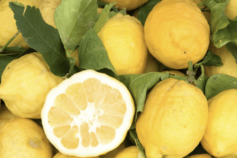 Sorrento: Walking Tour in Lemon Garden w/ Food Tasting