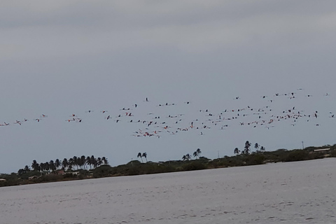 Santa Marta - Parc naturel national Los Flamingos