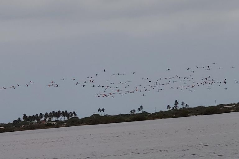 Santa Marta - Parc naturel national Los Flamingos