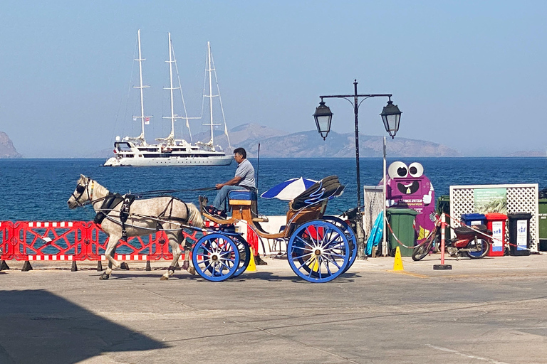 Isla de Spetses: excursión de día completo en autobús desde Atenas con bañoIsla de Spetses: excursión de un día en autobús desde Atenas con baño