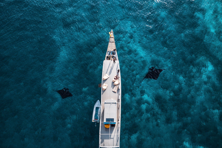From Bali: Nusa Penida Day Trip with Fast Boat & Lunch