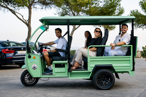 Málaga by Tuk Tuk: A Local's-Eye City Tour 1-Hour Highlights Tuk Tuk Tour