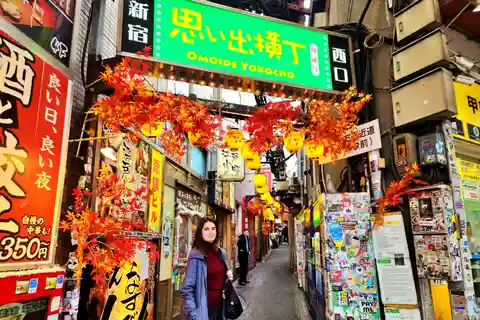 東京専門ガイドによるオールインワンツアー
