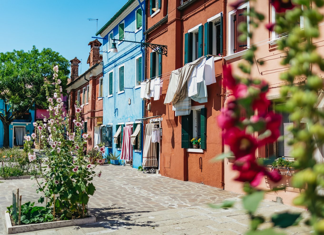 Bådtur: Glimt af øerne Murano, Torcello og Burano