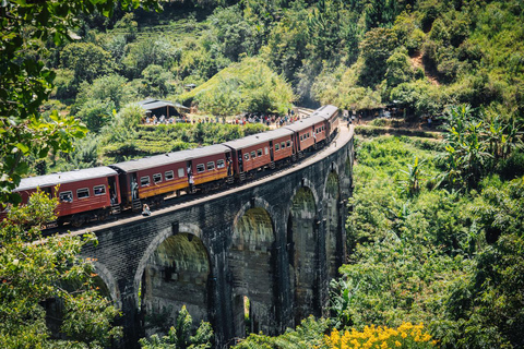 From Kandy to Ella: Waterfall, Tea Factory & Scenic Transfer Kandy: Ella Transfer by TUKTUK