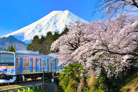Mount Fuji Day Tour: Instagrammable Spots + Scenic Train From Tokyo (Including ropeway and cruise)