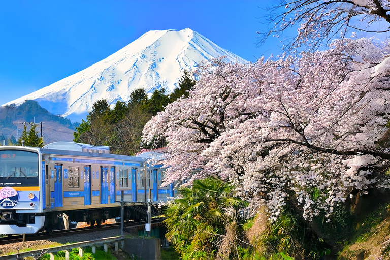 Mount Fuji Day Tour: Instagrammable Spots + Scenic Train From Tokyo (Including ropeway and cruise)