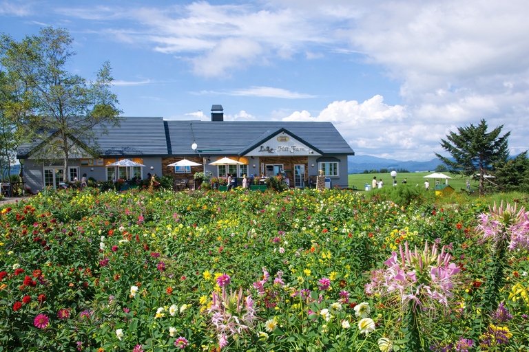 Hokkaido: Noboribetsu Hell Valley & Lake Toya Day Trip No Lunch