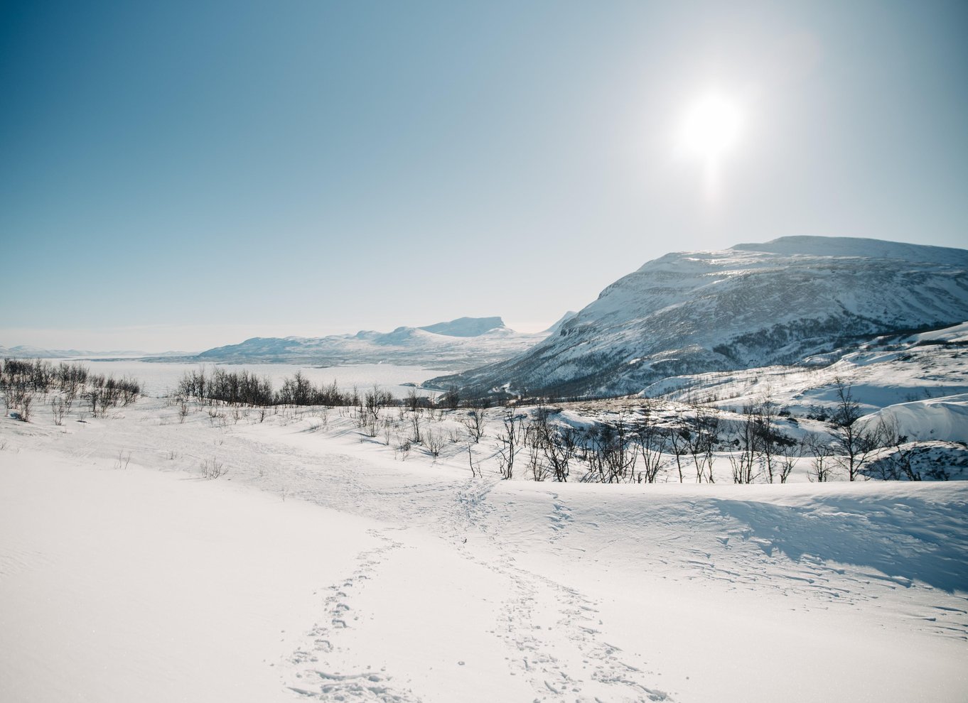 Kiruna: Dagstur til Abisko og Björkliden med frokost
