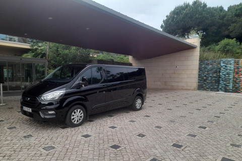 Trasferimento privato da Algarve a Malaga in minibus da 8 posti