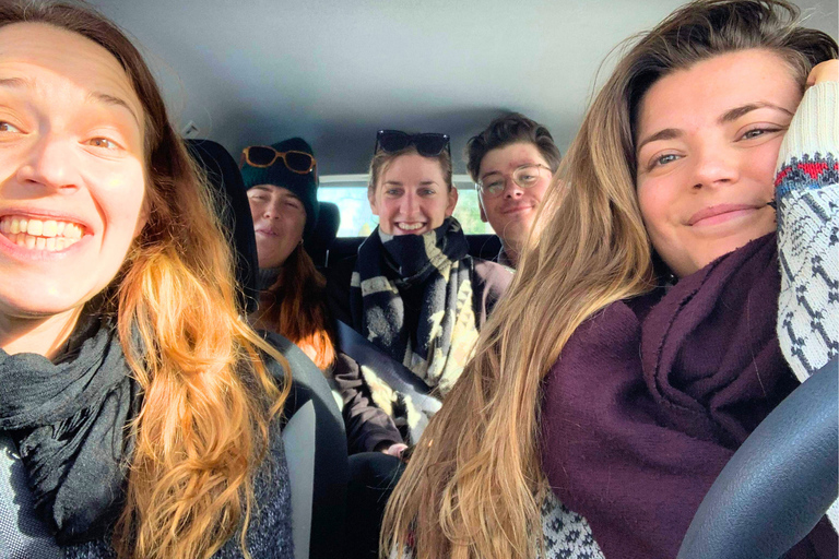 Göteborg: Das lokale Erlebnis – Hausbesuch, Essen &amp; WaldGöteborg: Erlebe Schweden mit einem Einheimischen