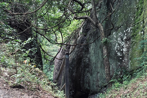 From Colombo: Gampaha District Temples & Jungle Hike Tour
