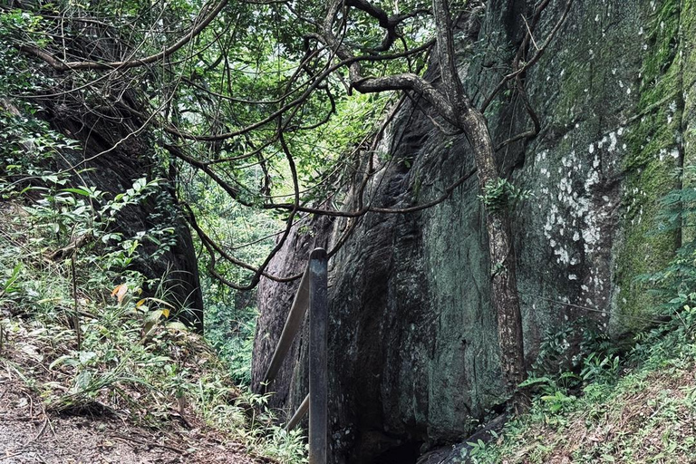 From Colombo: Gampaha District Temples & Jungle Hike Tour