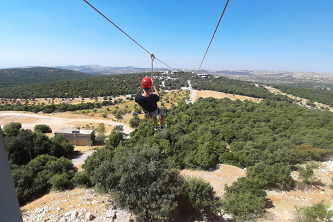 From Amman: Jerash and Ajloun Castle Private Full-Day Trip