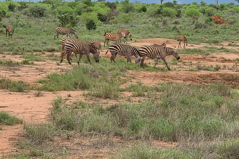 Mombasa:2-Day Tsavo East Wildlife Safari with Overnight Stay