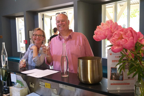 Da Wellington: Tour di degustazione dei vini di Martinborough