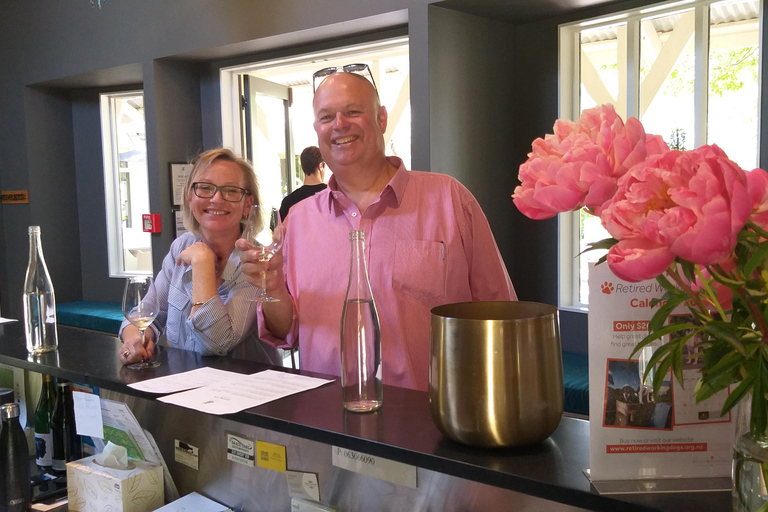 Da Wellington: Tour di degustazione dei vini di Martinborough