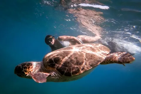 Zakynthos : demi-journée d'observation des tortues Caretta et des grottes de Keri