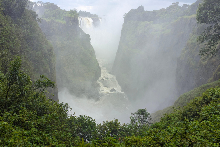 Victoria Falls Tour:Guided Walk with Female Guide