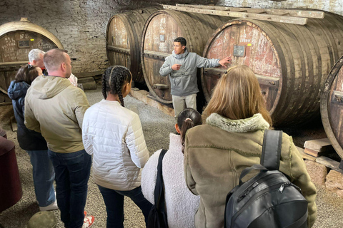 From Porto: 2 Boutique Wineries w/ Winery Lunch & 1-h cruise Tour in English
