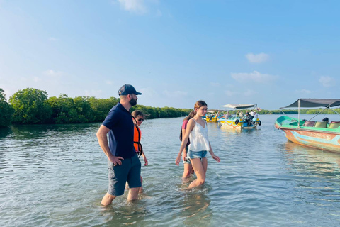 From Negombo: Boat Tour of Negombo Lagoon