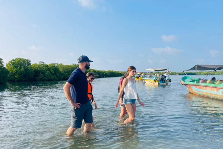 From Negombo: Boat Tour of Negombo Lagoon