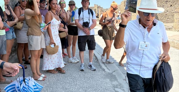 Sorrento: Skip-the-Line Pompeii Express Tour by Train