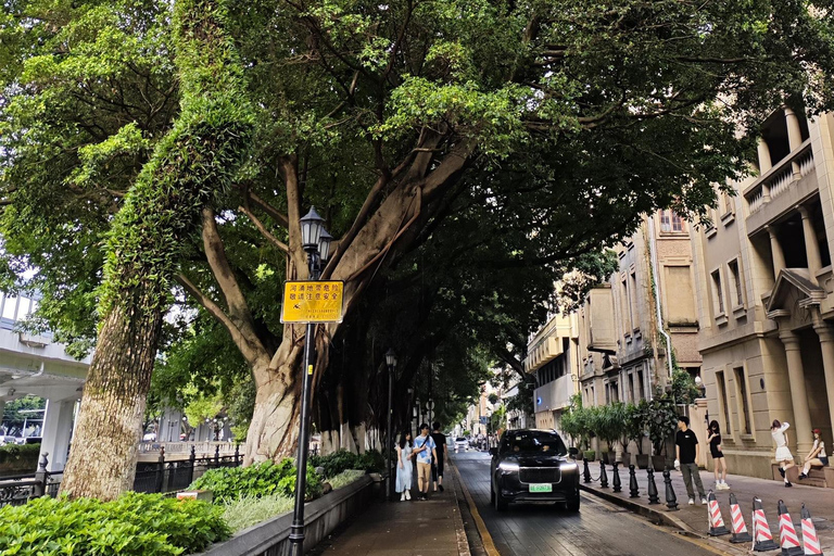 Guangzhou: Cantonese Morning Tea and Culture Walking Tour Guangzhou Private Tour ：Cantonese Culture Matters